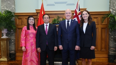 Vietnam - New Zealand Joint Press Statement