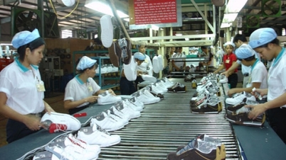 ក្នុងខែកញ្ញា ឆ្នាំ 2023 ការនាំចេញស្បែកជើងគ្រប់ប្រភេទរបស់វៀតណាមទទួលបានជាង 1.33 ពាន់លានដុល្លារ។