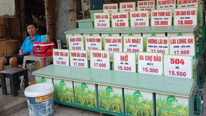 តម្លៃ​អង្ករ​នាំ​ចេញ​ធ្លាក់​ចុះ​យ៉ាង​ខ្លាំង