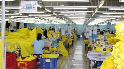 Dệt may Gia Định nộp đủ số nợ thuế gần 100 tỷ đồng