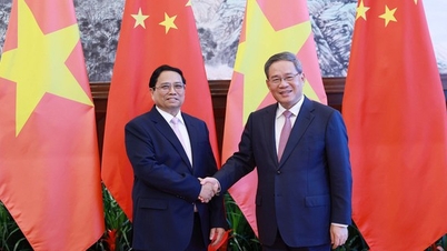 Many proposals for substantive cooperation promote Vietnam-US relations