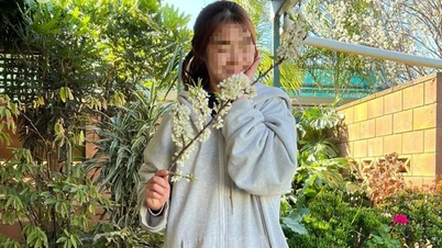 Giải đáp một chi tiết 'lạ'