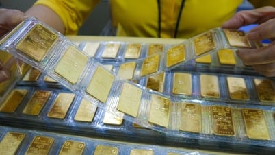 SJC gold bar price increased dramatically, up to 88 million VND/tael