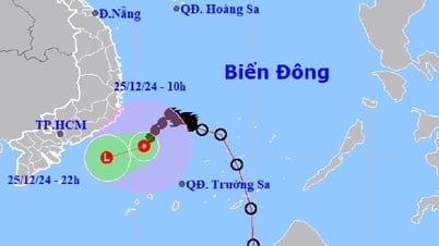 Bão số 10 suy yếu thành áp thấp nhiệt đới ở vùng biển Khánh Hòa - Bình Thuận