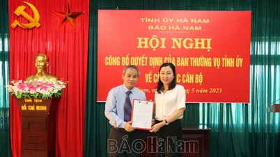 តែងតាំងអ្នកកាសែត Nguyen Van Vinh ជានិពន្ធនាយករងនៃកាសែត Ha Nam