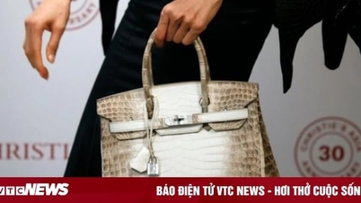 10 chiếc túi xách độc đáo và đắt nhất thế giới