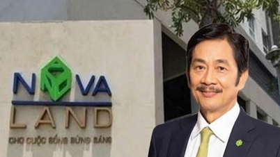 Điều gì khiến cổ phiếu Novaland tăng trần, lên đỉnh 7 tháng?