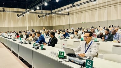 Negotiation progress before the end of COP28 Conference