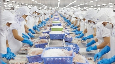 Seafood exports to Russia increased by 105.5%