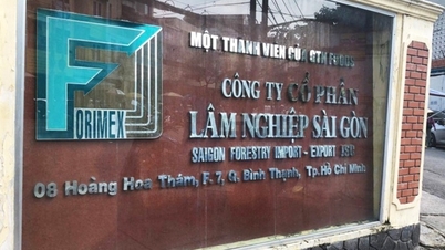 ការគ្រប់គ្រងភាគហ៊ុនរបស់ FRM និង ABR បុគ្គលម្នាក់ត្រូវបានពិន័យជាប្រាក់កន្លះពាន់លានដុង