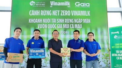 Net Zero Forest - efortul Vinamilk de a crea absorbante de carbon