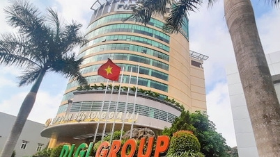 Duc Long Gia Lai (DLG) divests from Mass Noble after 2 consecutive years of losses