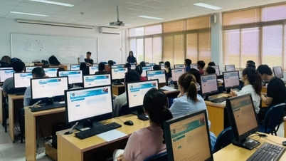Thi cấp chứng chỉ nghiệp vụ khai hải quan năm 2024