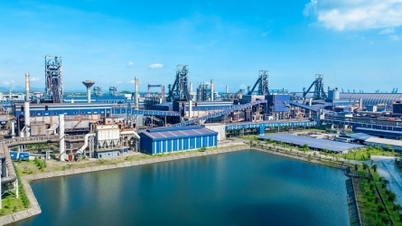 Hơn 800 nhà đầu tư tay sờ, mắt ngắm cơ ngơi của tỷ phú Trần Đình Long