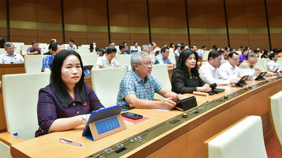 Nghe An will have a maximum of 5 provincial vice chairmen.