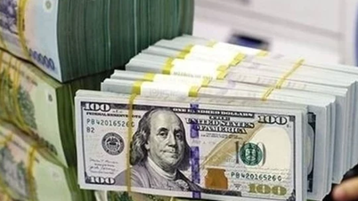 Giá ngoại tệ ngày 31/10/2024: USD giảm mạnh sau thông tin mới tại Mỹ