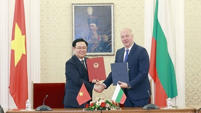 Thúc đẩy hợp tác toàn diện Việt Nam - Bulgaria