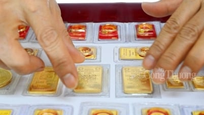 Giá vàng SJC “rớt thê thảm” tuột thẳng xuống mốc 84 triệu đồng/lượng