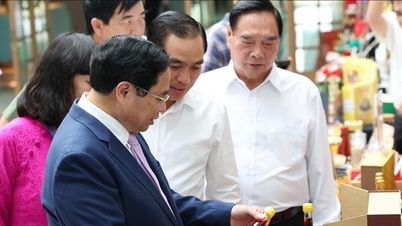 Xây dựng Phú Quốc thành trung tâm dịch vụ, du lịch sinh thái chất lượng cao