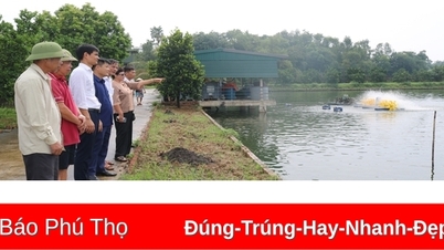Ứng dụng công nghệ sinh học trong quản lý môi trường ao nuôi