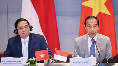 Thủ tướng Phạm Minh Chính và. Tổng thống Indonesia kêu gọi doanh nghiệp 2 nước tăng cường hợp tác, đầu tư