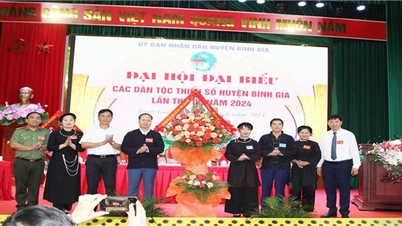 មហាសន្និបាតជនជាតិភាគតិចលើកទី៤ នៅខេត្ត Lang Son នឹងប្រព្រឹត្តទៅនៅពាក់កណ្តាលខែវិច្ឆិកា ឆ្នាំ២០២៤។