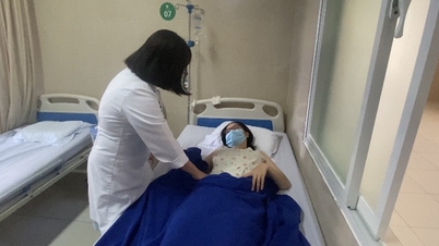 Подозреваемое отравление курицей и рисом в Нячанге: обнаружена сальмонелла