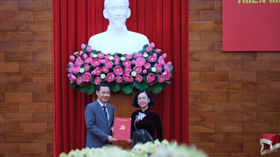 Bộ Chính trị điều động Phó Trưởng Ban Nội chính Trung ương Nguyễn Thái Học làm Quyền Bí thư Tỉnh ủy Lâm Đồng