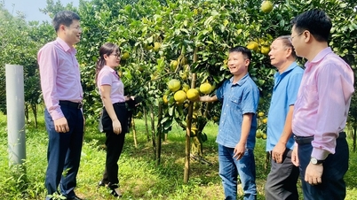 Hoà Bình: Tạo lòng tin nhân dân đối với tín dụng chính sách