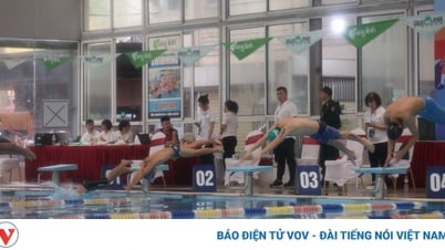 522 vận động viên học sinh Hà Nội thi đấu môn Bơi Hội khoẻ Phù Đổng