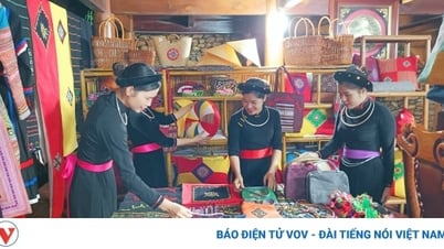 អាវទ្រនាប់ Lam Binh ទាក់ទាញភ្ញៀវទេសចរ
