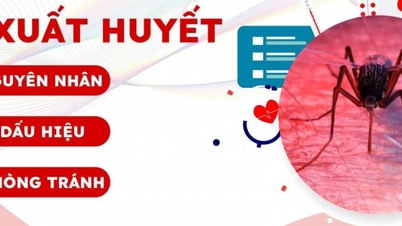 Số mắc sốt xuất huyết ở Đống Đa và Cầu Giấy tăng vọt