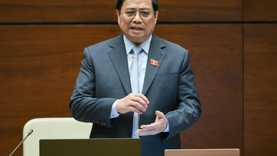 El Primer Ministro responde a las preguntas de los diputados de la Asamblea Nacional sobre los programas de objetivos nacionales