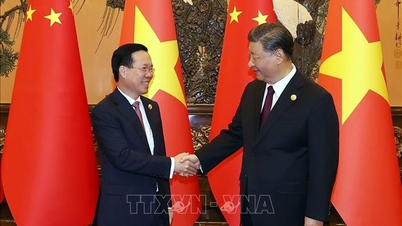 Chủ tịch nước Võ Văn Thưởng hội kiến Tổng Bí thư, Chủ tịch Trung Quốc Tập Cận Bình