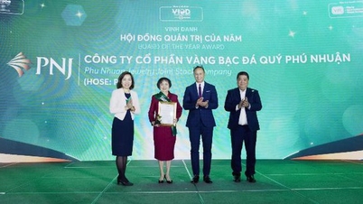 PNJ បានទទួលពានរង្វាន់ក្រុមប្រឹក្សាភិបាលប្រចាំឆ្នាំ