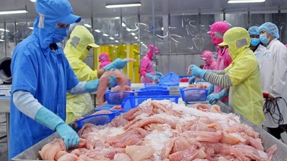 Quý III bứt phá, Thủy sản Vĩnh Hoàn báo lãi cao nhất 5 quý