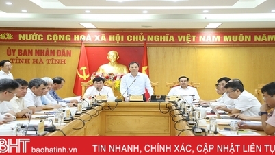 ថ្នាក់ដឹកនាំខេត្ត Ha Tinh ធ្វើការជាមួយ TKV លើគម្រោងអណ្តូងរ៉ែដែកថាច់ខេ