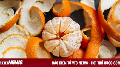 Die Fruchtschalen, die Vietnamesen oft wegwerfen, sind eigentlich ein „großartiges Stärkungsmittel“.
