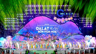 제10회 다랏 꽃 축제
