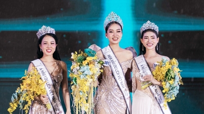 Vo Cao Ky Duyen crowned Miss Vietnam Tourism Global in pouring rain