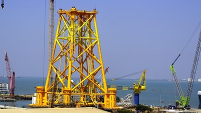Phát triển kinh tế xanh Đông Nam Bộ, doanh nghiệp than khó ở đất đai và hành chính