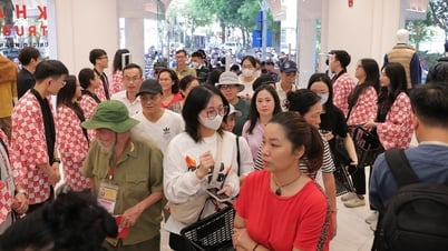 Hơn một nửa doanh nghiệp Nhật muốn mở rộng kinh doanh ở Việt Nam