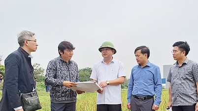 Nam Dinh hands over site clearance piles and road boundary markers for CT.08 expressway project