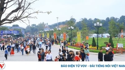 Vinh Phuc province aims to welcome over 10 million tourists in 2024