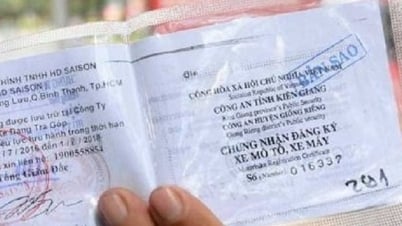 Dùng giấy đăng ký xe photo công chứng khi lái xe có được không?