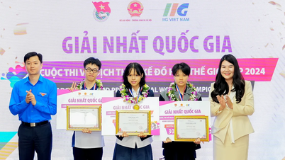 Find out the 3 young graphic design champions competing in the world finals
