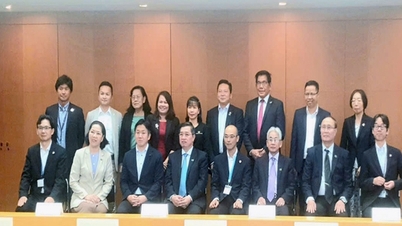 Trường Đại học Cửu Long làm việc với tỉnh ChiBa của Nhật Bản