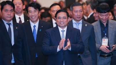 Thủ tướng Phạm Minh Chính kêu gọi các doanh nghiệp Nhật Bản tiếp tục đến đầu tư và thành công tại Việt Nam