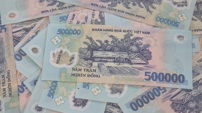 Agribank, Vietcombank, VietinBank, BIDV의 이자율 변동