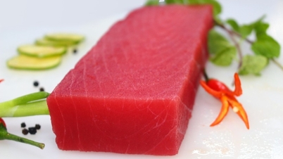Processed tuna is Vietnam's main export product to Japan.